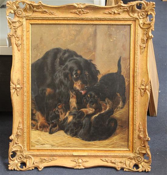 Richard Ansell (1815-1885) Cavalier spaniels 20 x 16in.